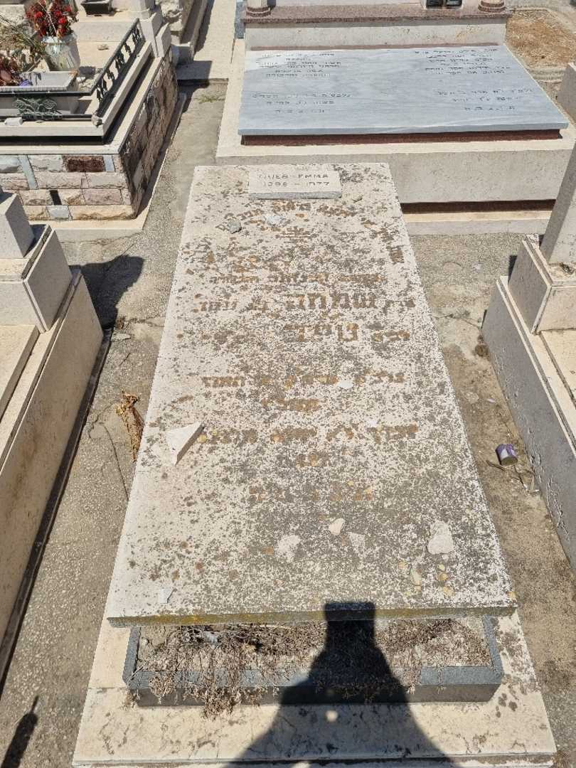 קברו של שמחה טייב. תמונה 1