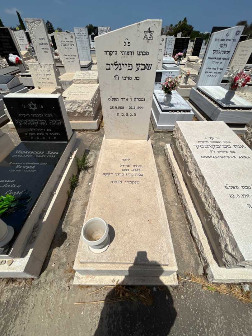 קברו של שבע פיינלייב