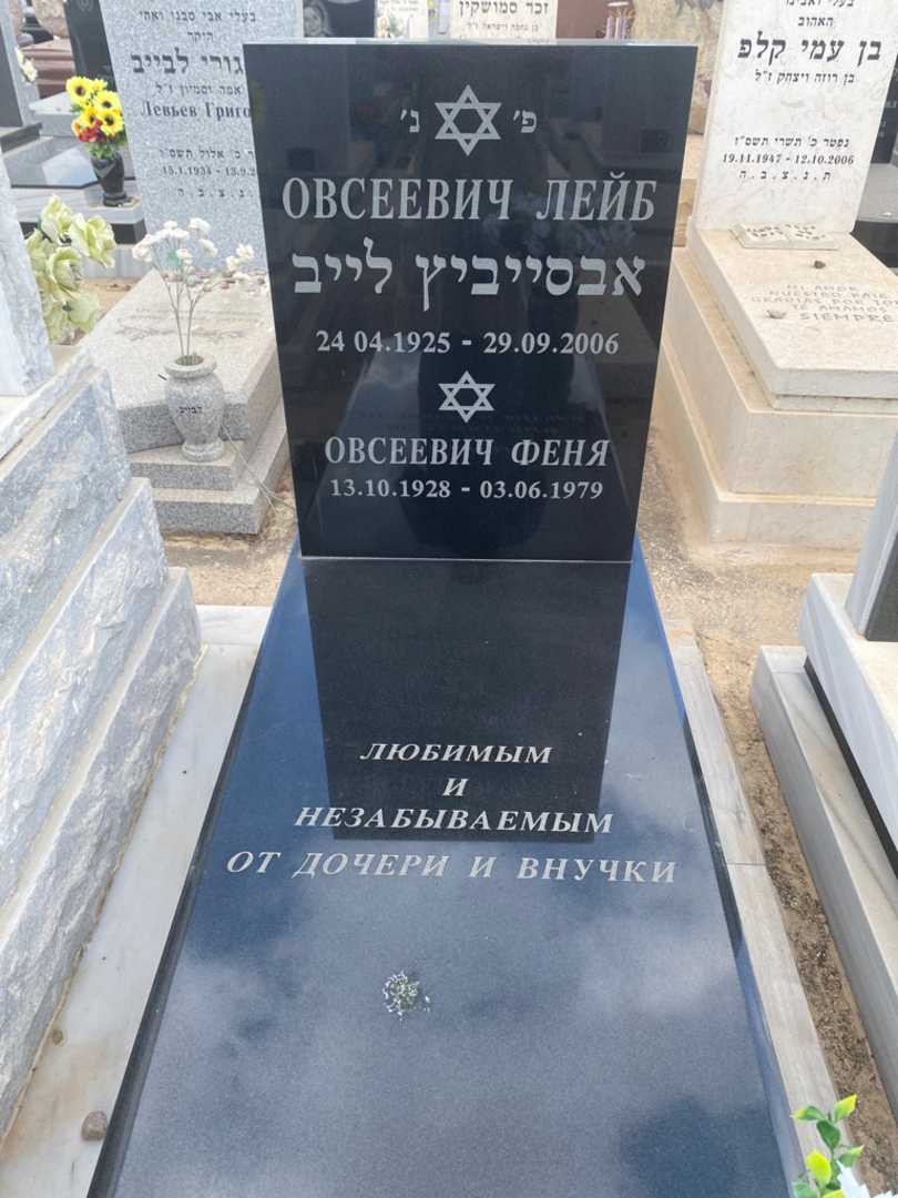 קברו של פניה אבסייביץ