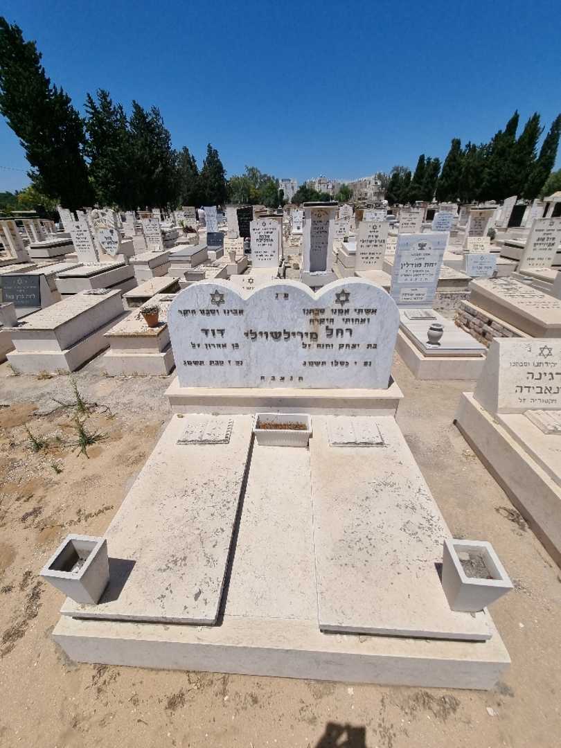 קברו של דוד מירילשוילי. תמונה 2