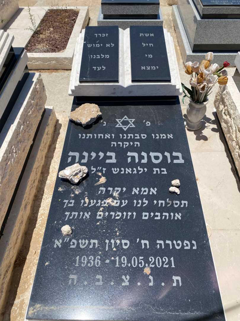 קברו של בוסנה ביינה. תמונה 2