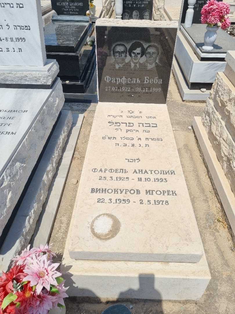 קברו של איגור וינוקורוב