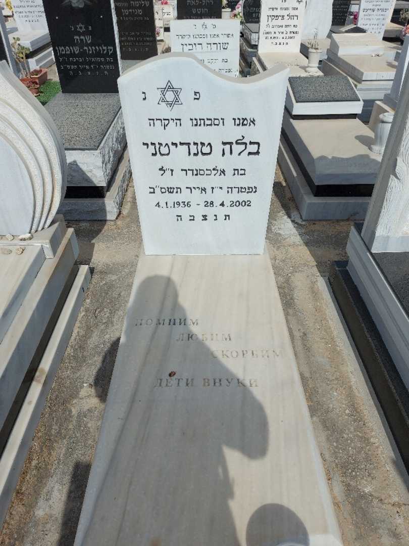 קברו של בלה טנדיטני