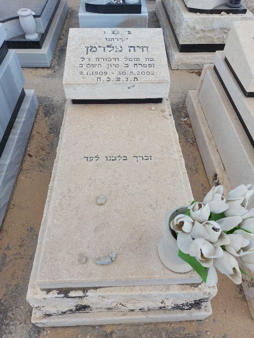 קברו של חיה פלדמן