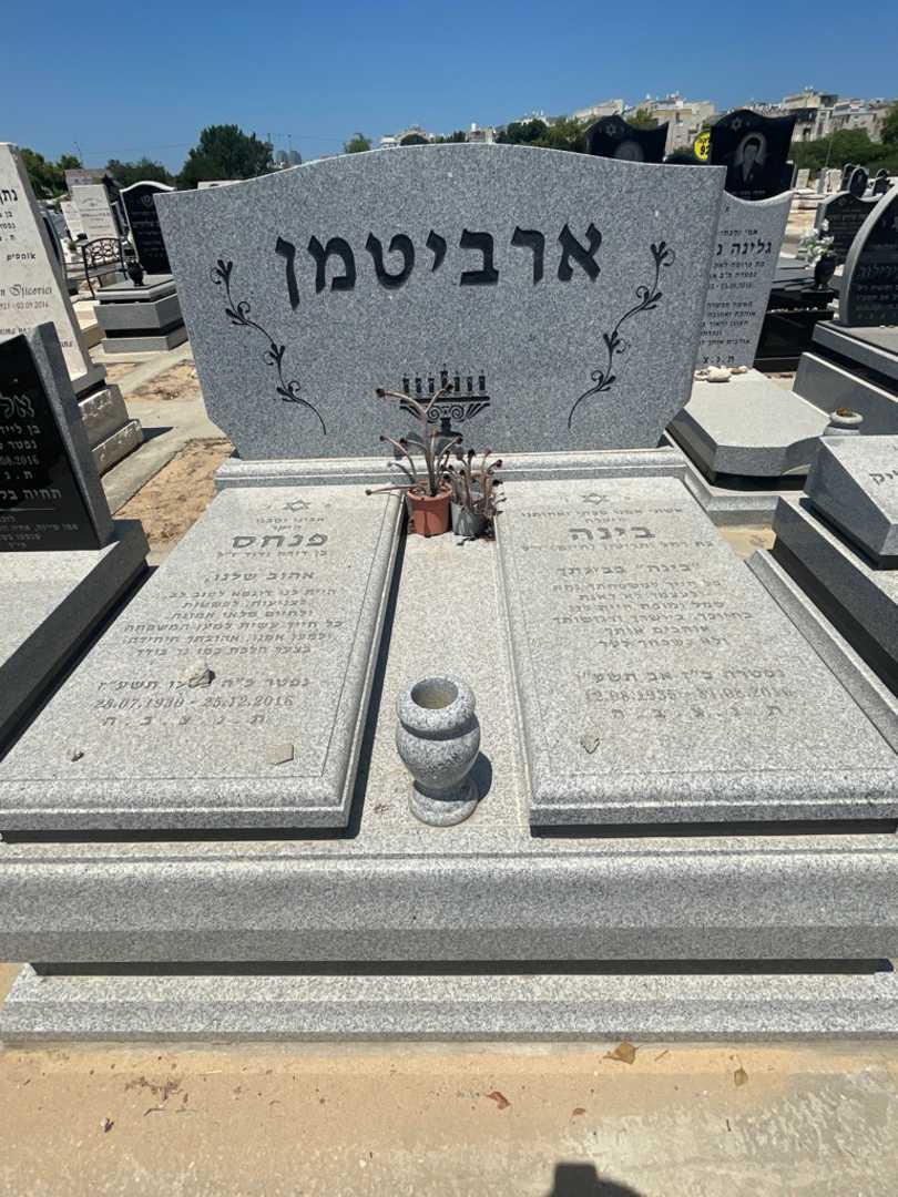 קברו של בינה ארביטמן. תמונה 1