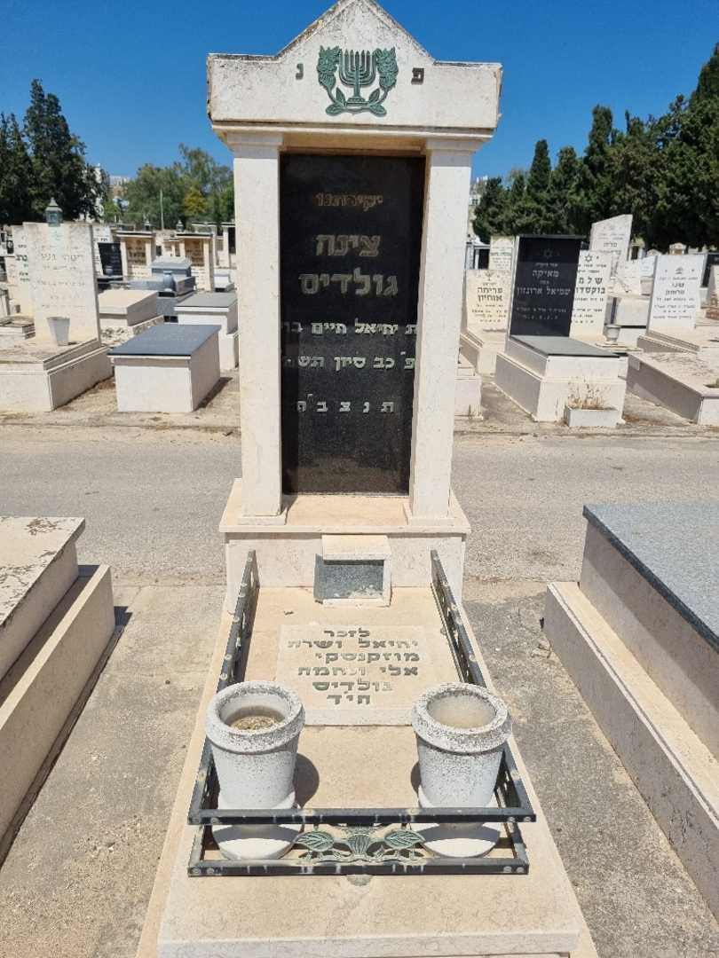 קברו של דינה גולדיס