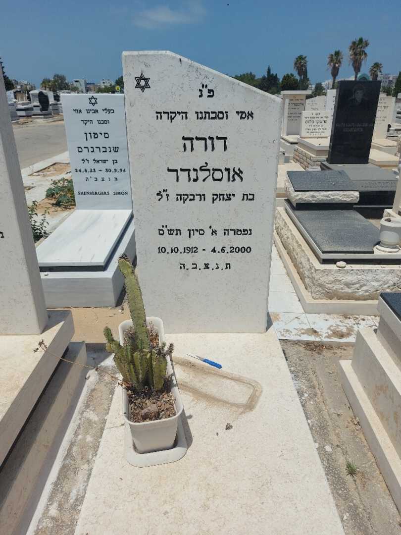 קברו של דורה אוסלנדר