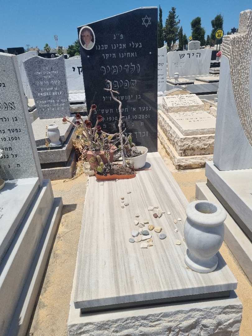 קברו של ולדימיר ספיבק
