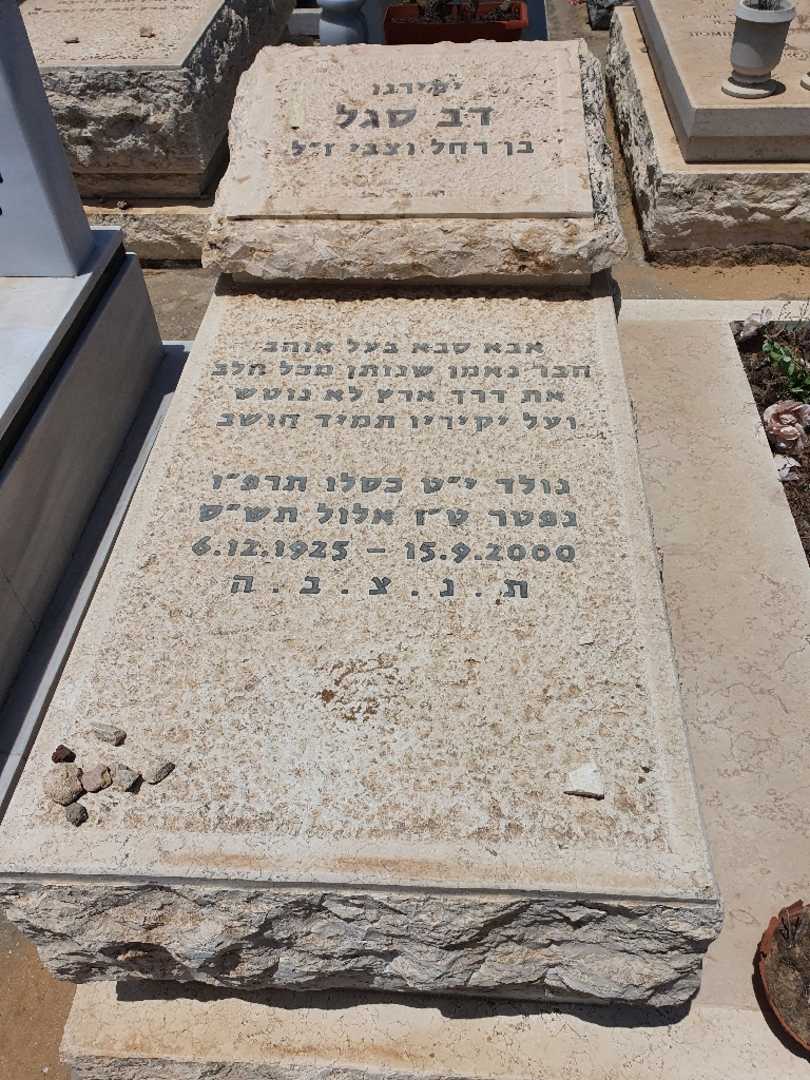 קברו של דב ישראל סגל