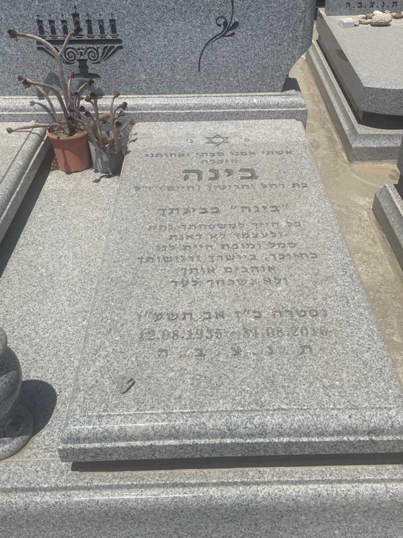 קברו של בינה ארביטמן. תמונה 2