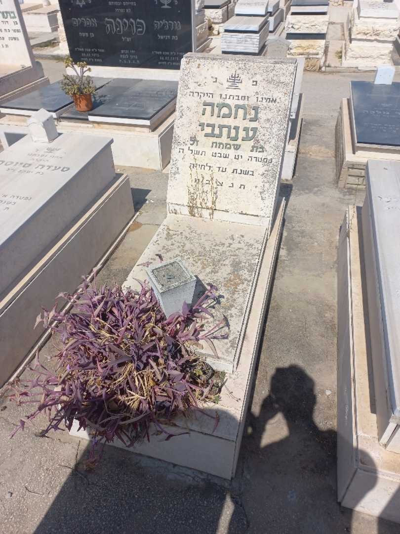 קברו של נחמה ענתבי