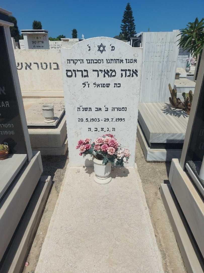 קברו של אנה מאיר גרוס