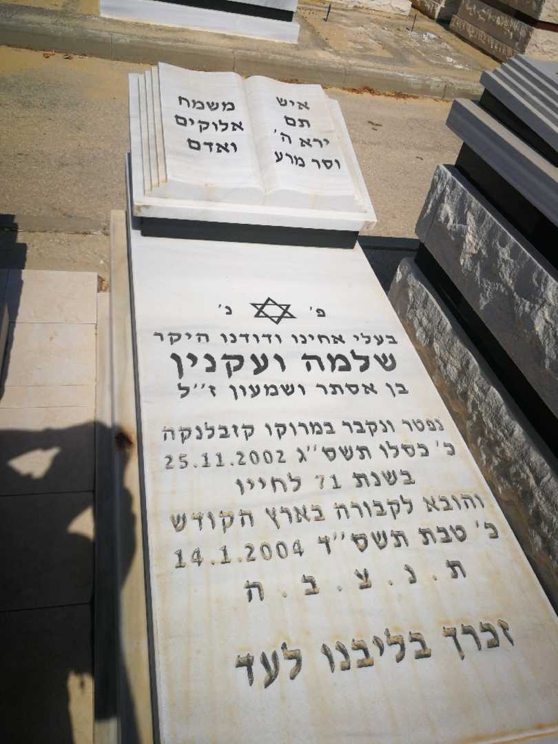 קברו של שלמה ועקנין