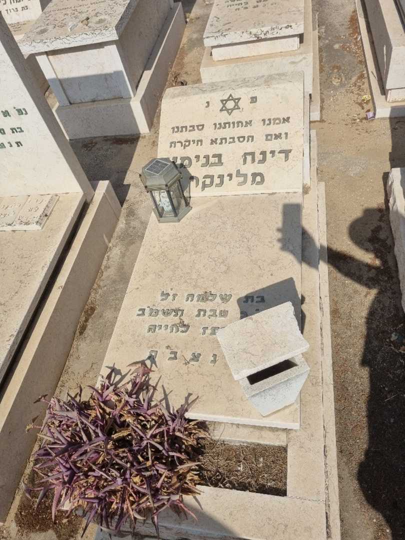 קברו של דינה בנימן מלינקר. תמונה 1