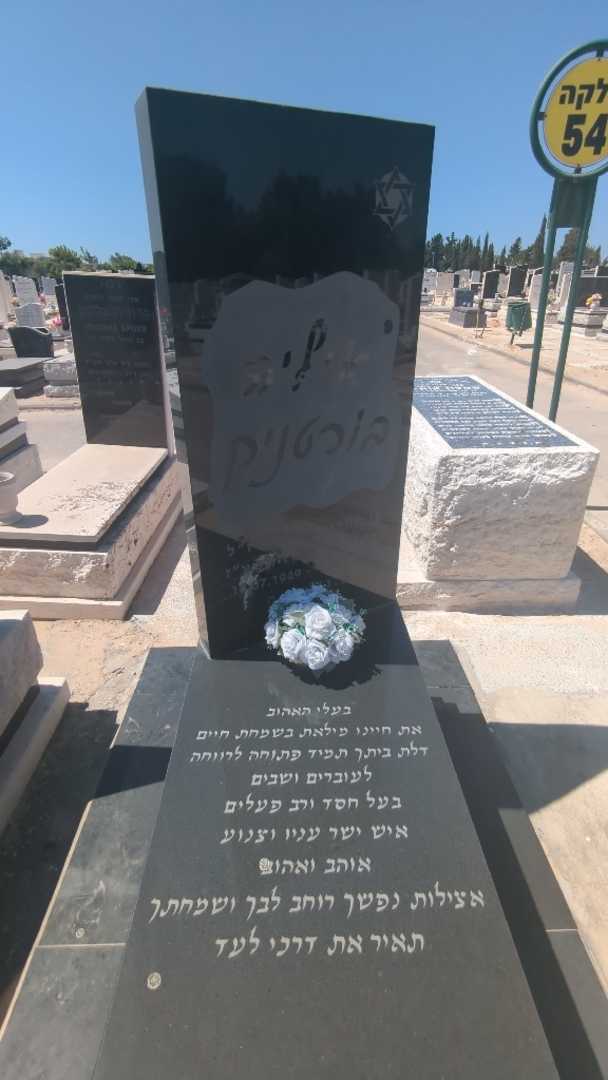 קברו של איליה בורטניק. תמונה 3