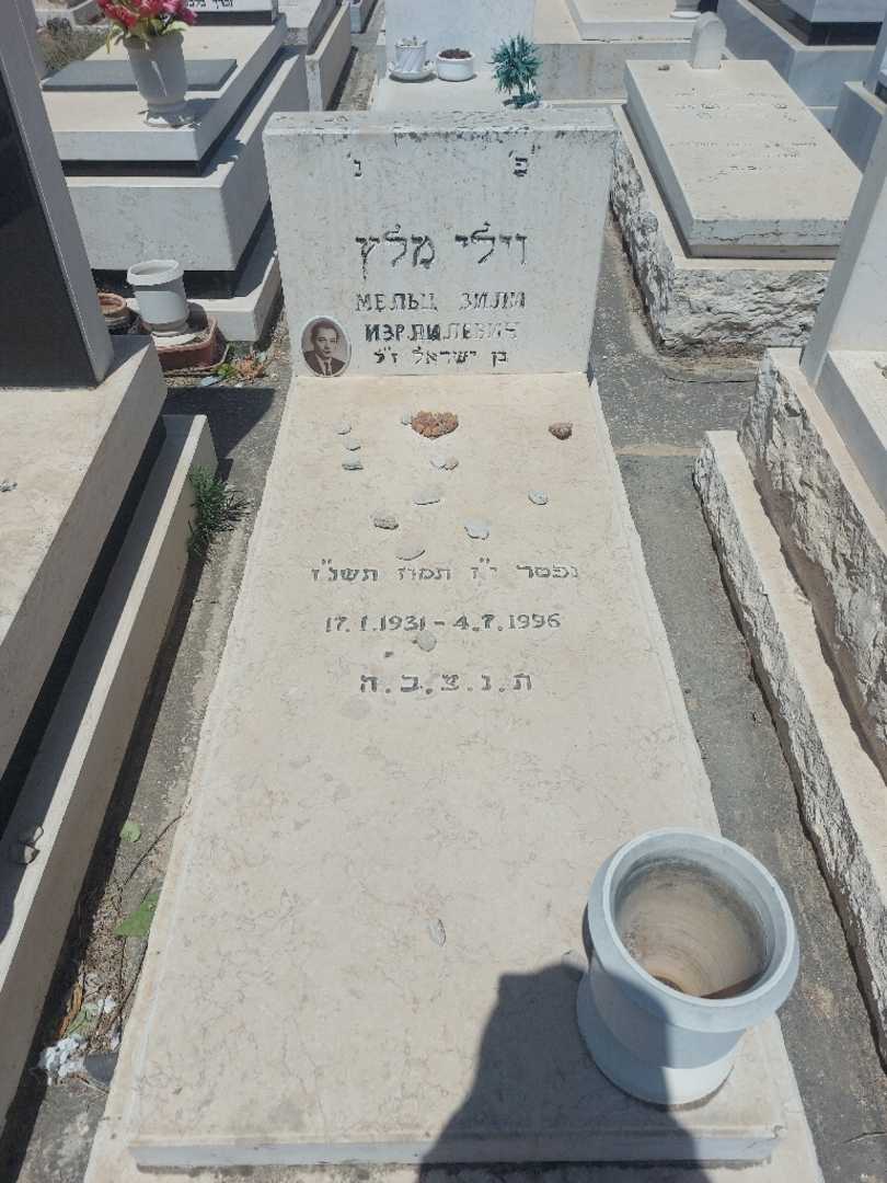 קברו של וילי מלץ