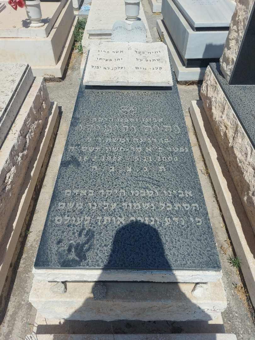 קברו של ניסים גלמידי