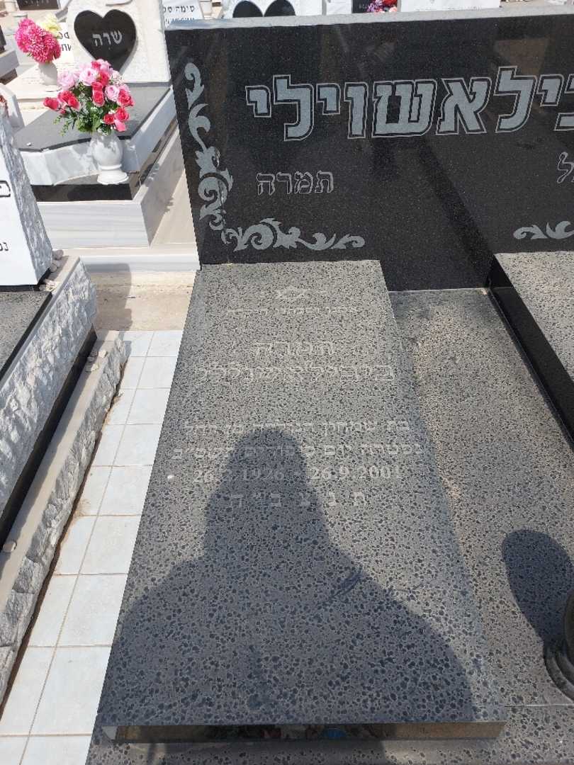 קברו של תמרה ביבילאשוילי