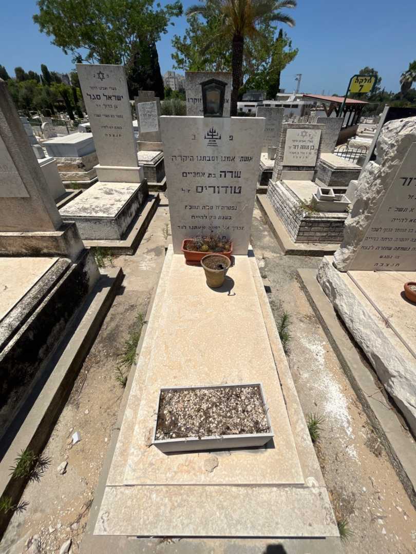 קברו של שרה טודורוס