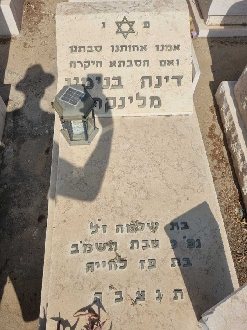 קברו של דינה בנימן מלינקר. תמונה 2