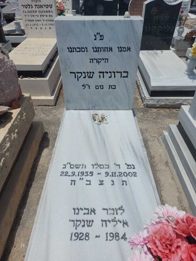 קברו של ברוניה שנקר