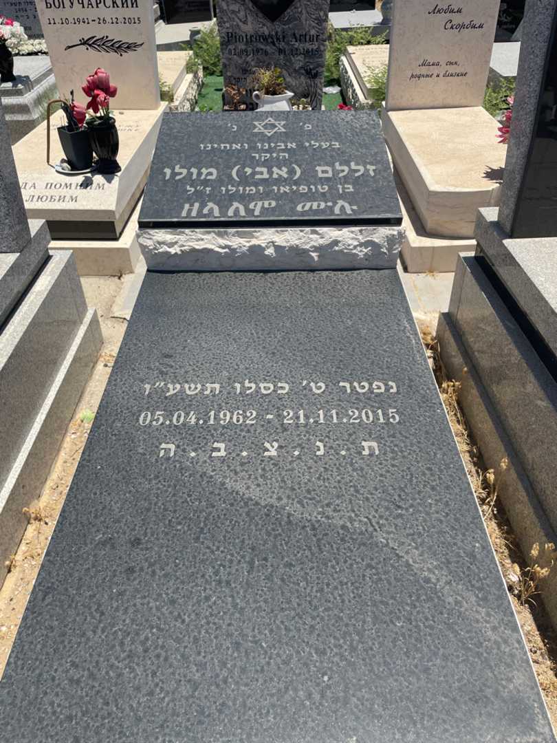 קברו של אבי "אבי" מולו