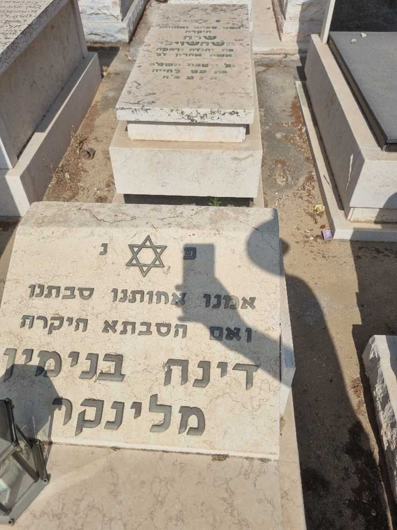 קברו של דינה בנימן מלינקר. תמונה 3