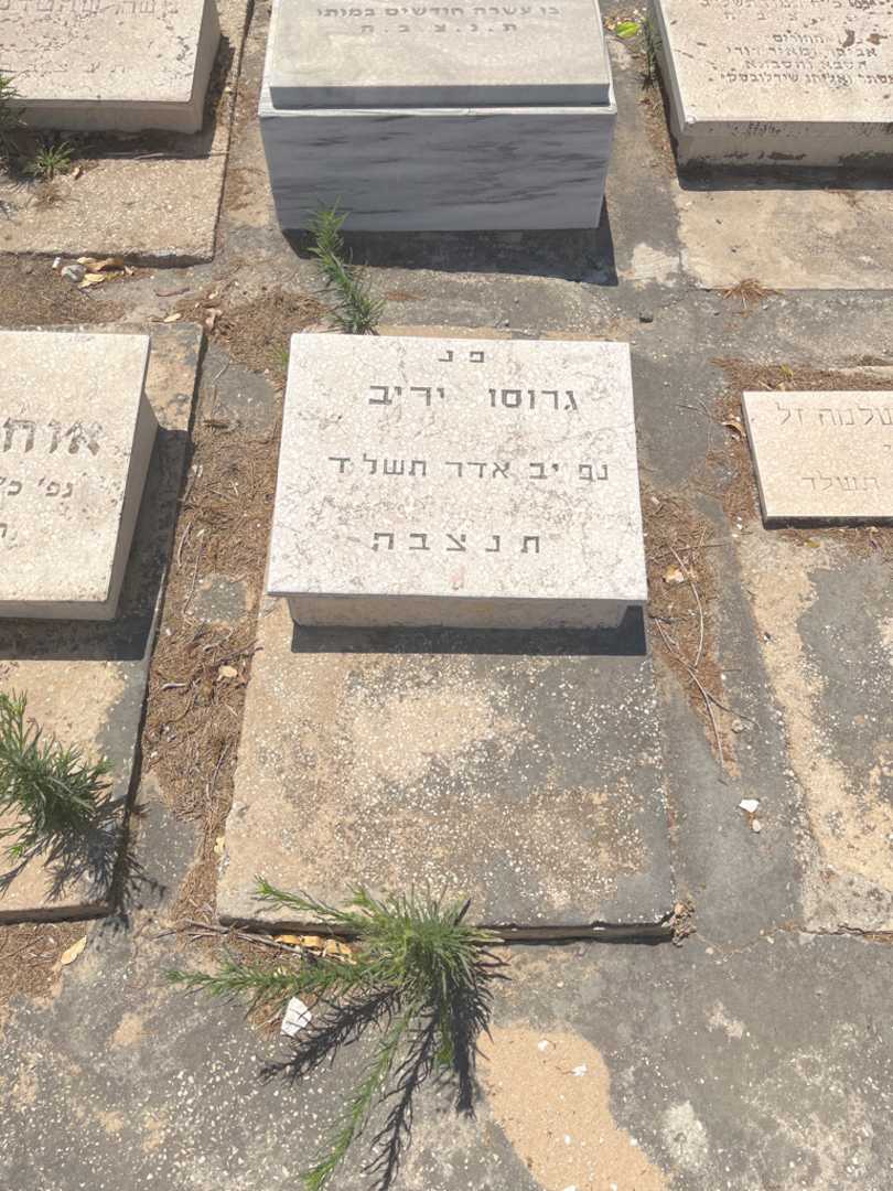 קברו של גרוסו יריב