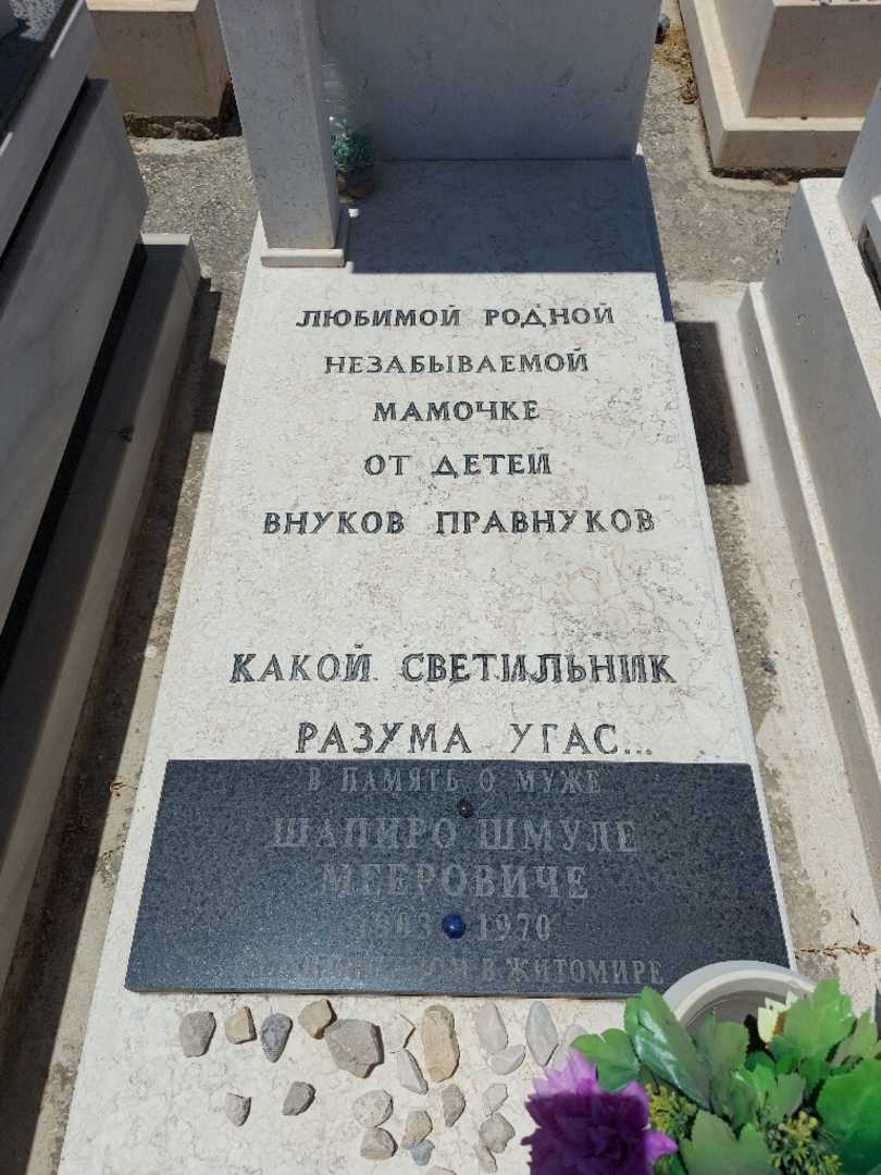 קברו של אטיה בזנוס. תמונה 1