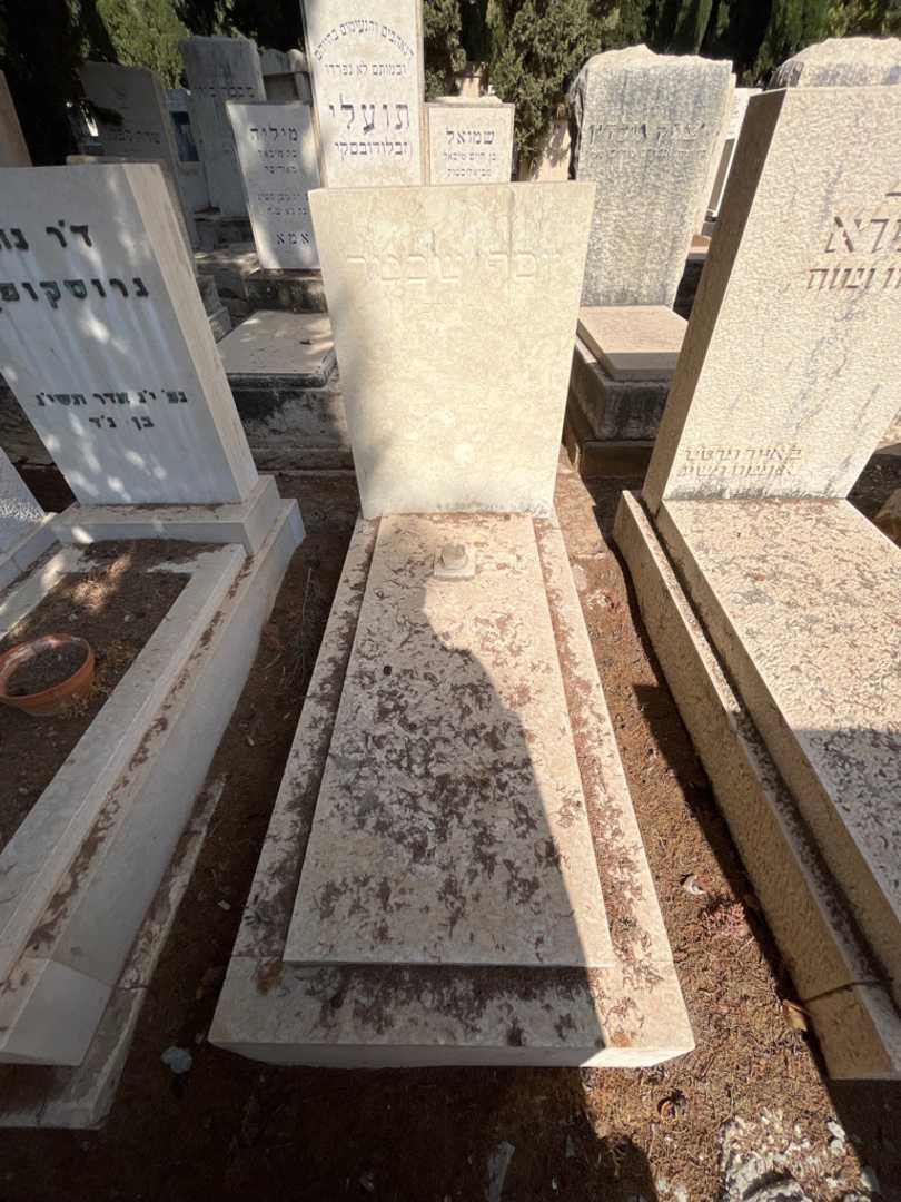 קברו של יוסף שכטר