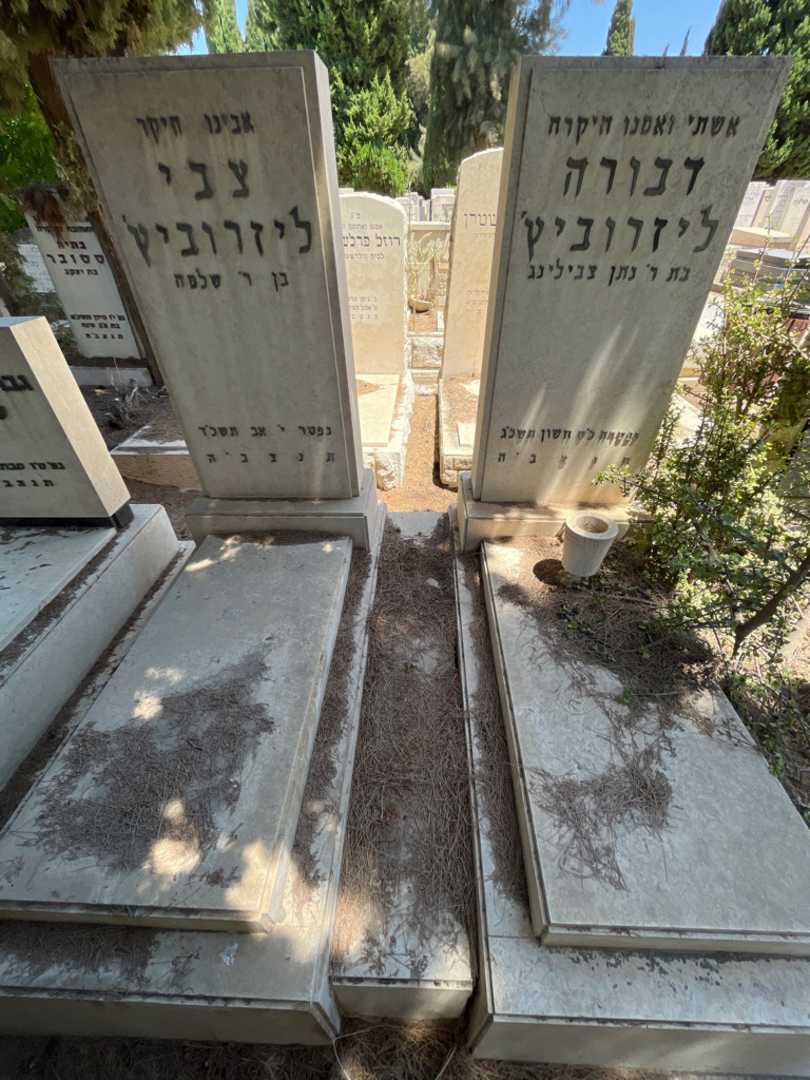 קברו של צבי ליזרוביץ'. תמונה 1