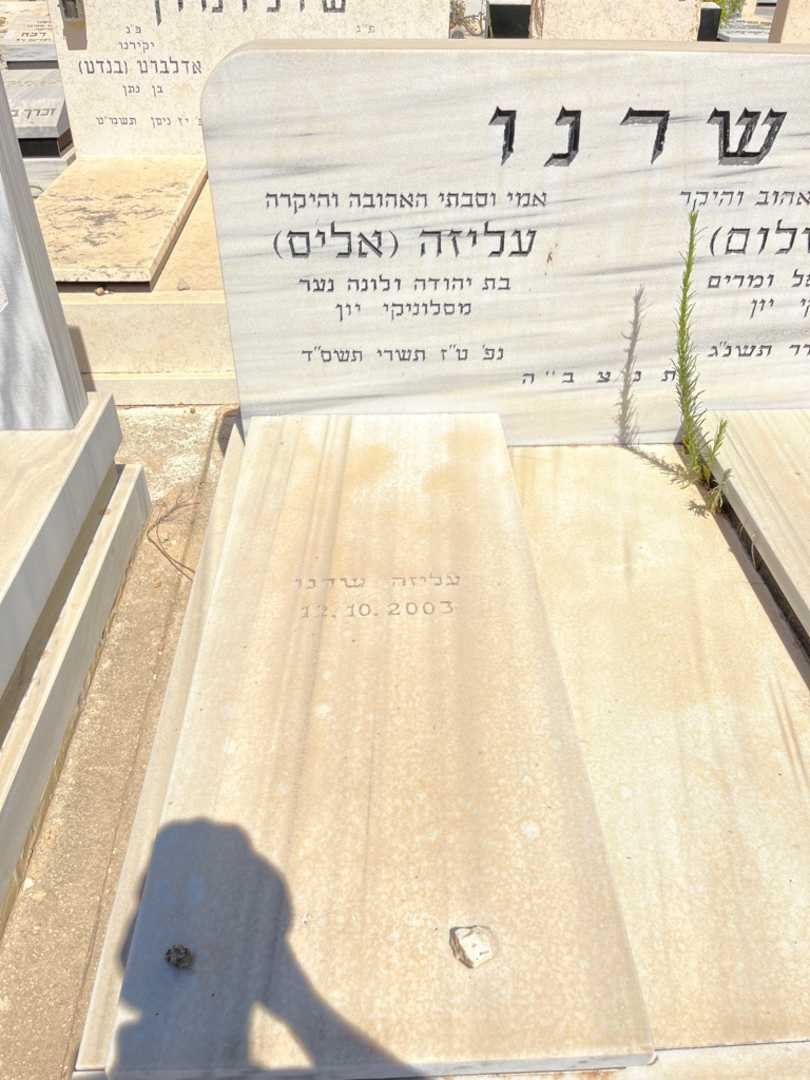 קברו של עליזה "אליס" שרנו. תמונה 2