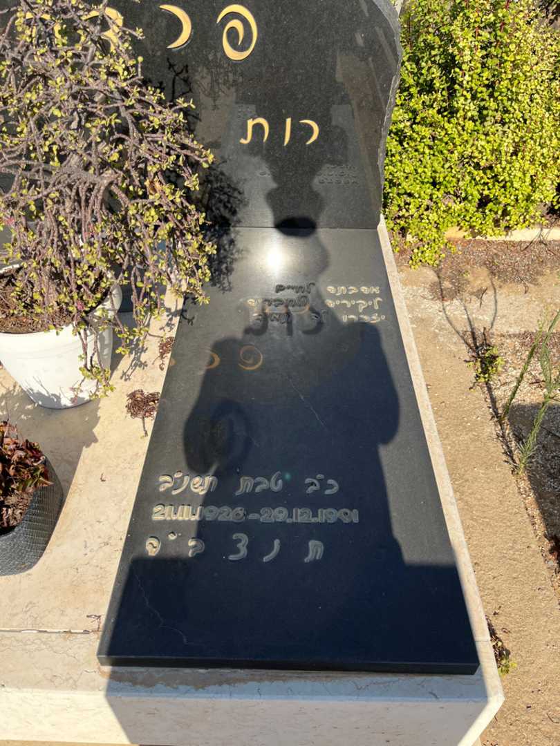 קברו של רות פרדקין. תמונה 1