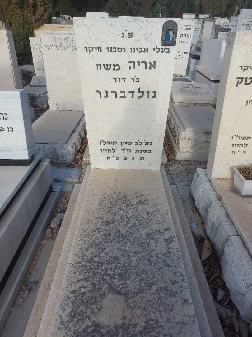 קברו של אריה "משה" גולדברגר