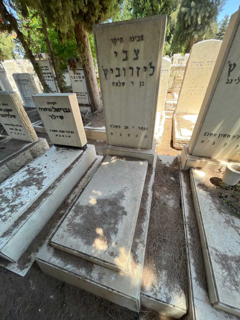 קברו של צבי ליזרוביץ'. תמונה 2