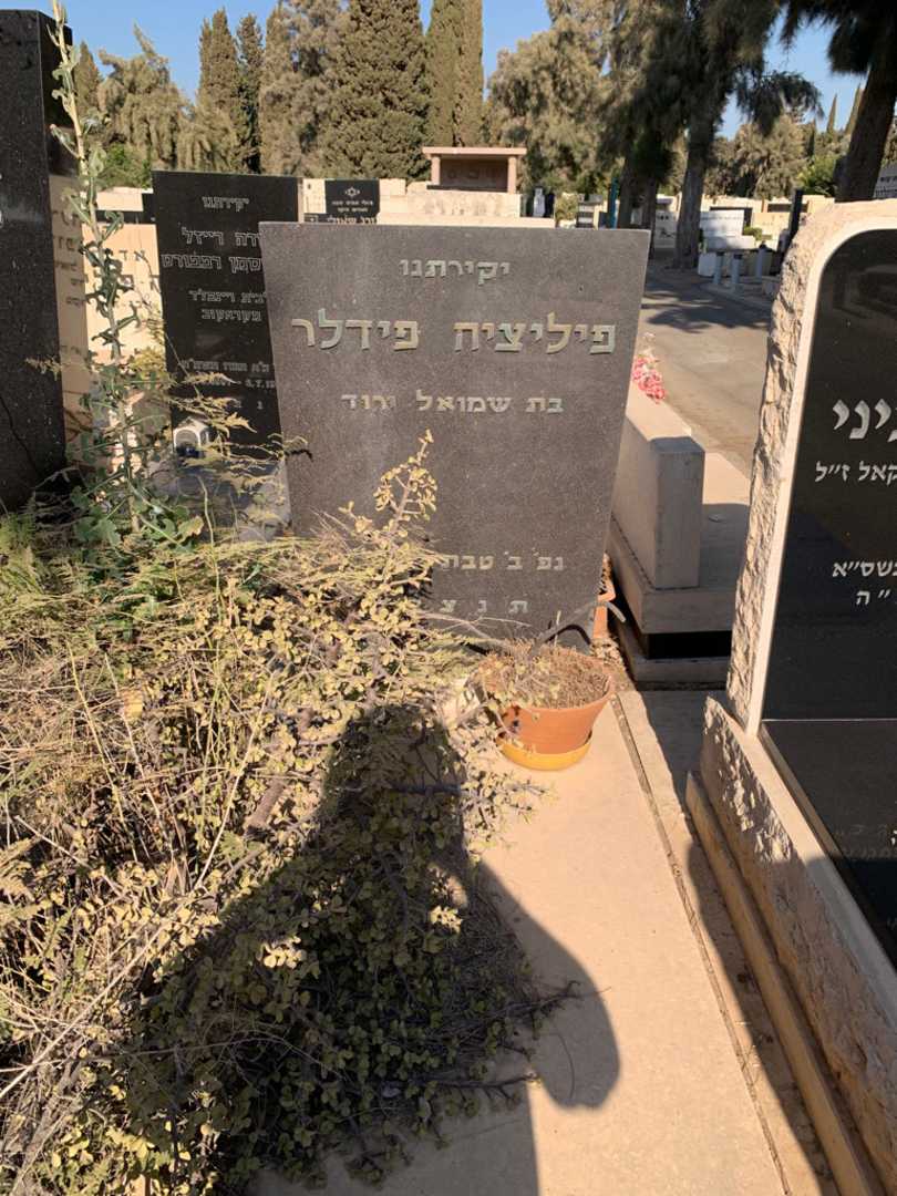 קברו של פיליציה פידלר. תמונה 1