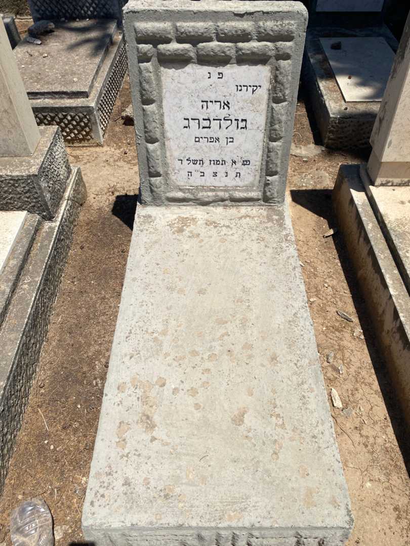 קברו של אריה גולדברג