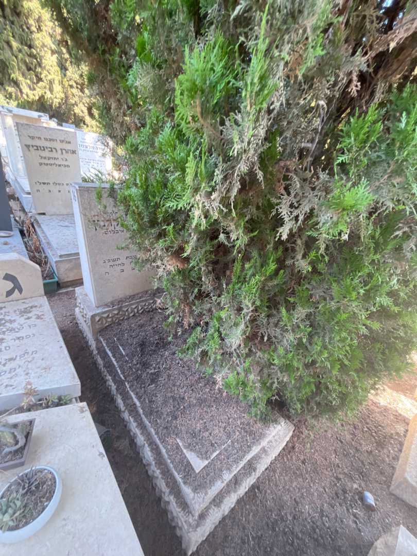 קברו של פסיה בקרמן. תמונה 1