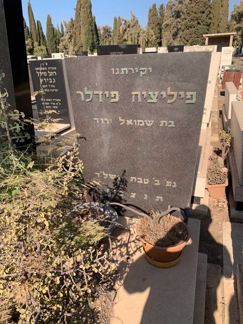 קברו של פיליציה פידלר. תמונה 2