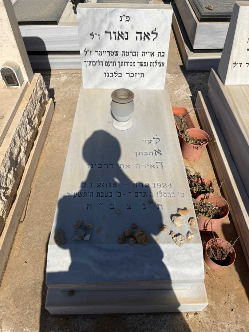 קברו של לאה נאור. תמונה 2