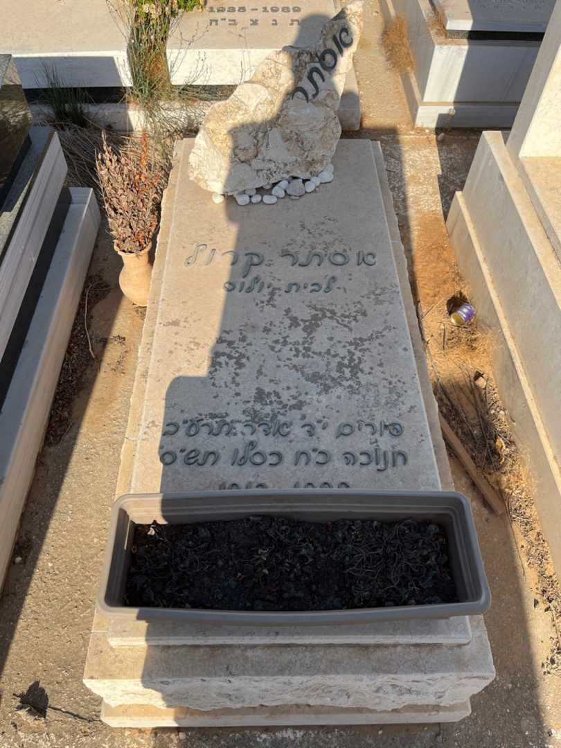 קברו של אסתר "יולוס" קרול