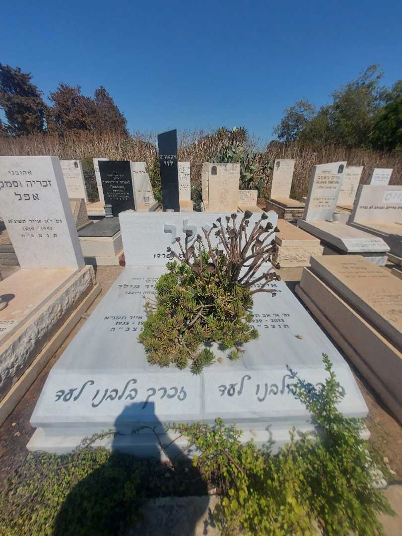 קברו של מאיר מילר. תמונה 2