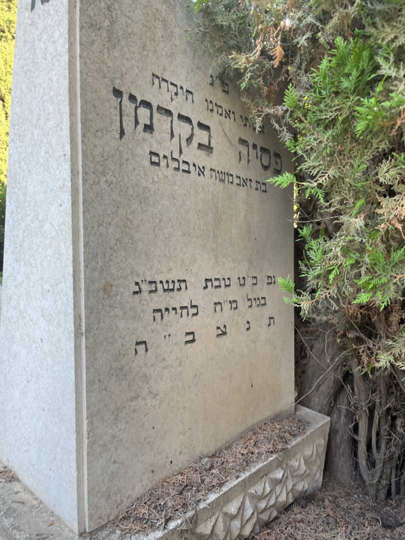 קברו של פסיה בקרמן. תמונה 2