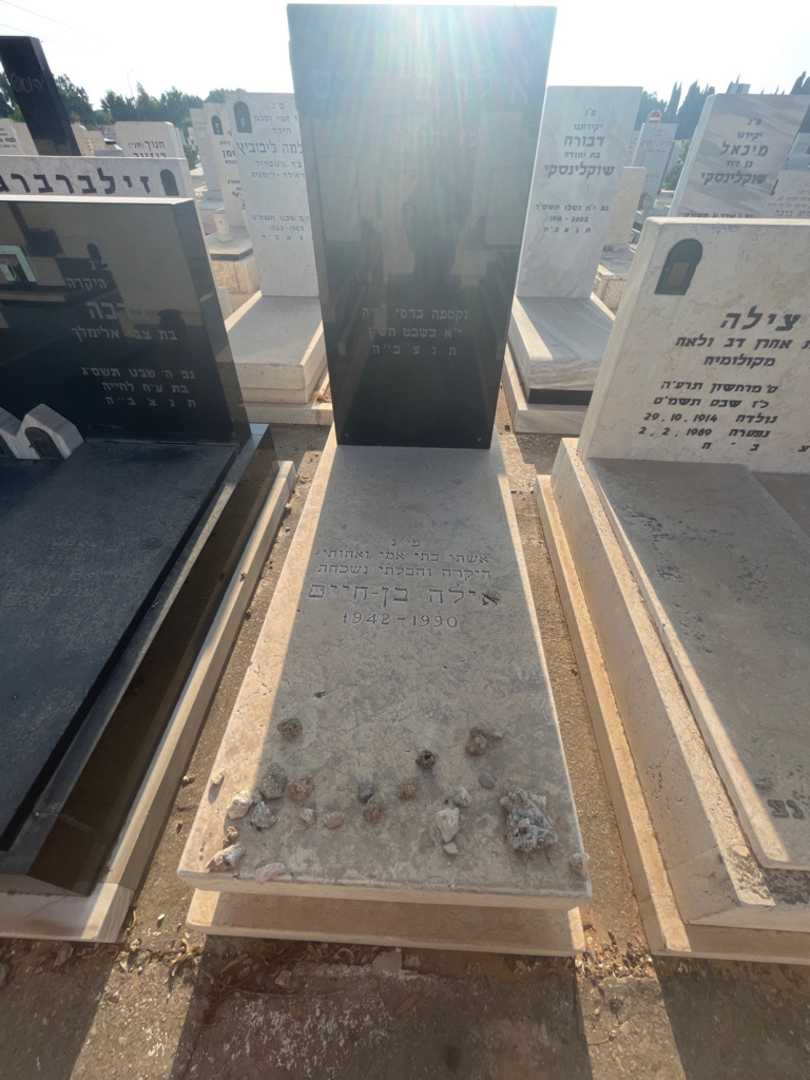 קברו של אילה בן -חיים. תמונה 1