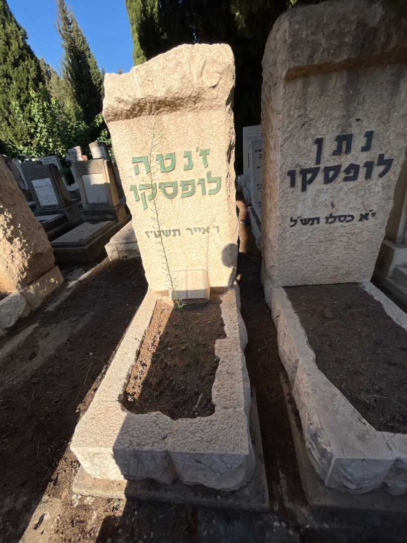 קברו של ז'נטה לופסקו. תמונה 2
