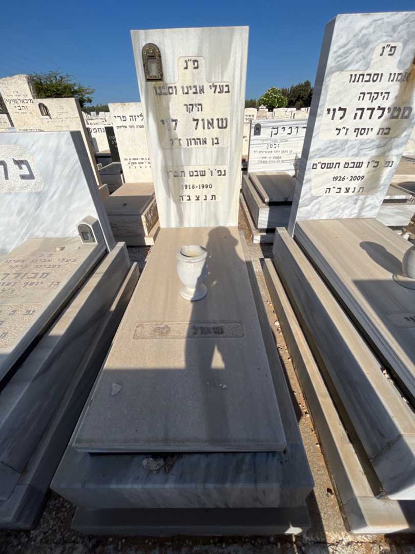 קברו של שאול לוי. תמונה 2