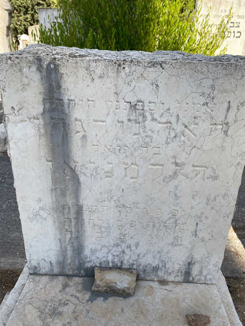 קברו של לאה נורגיהן דילמניאי. תמונה 2