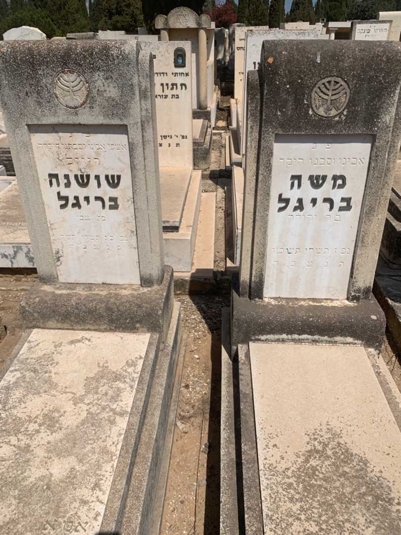 קברו של שושנה בריגל. תמונה 2