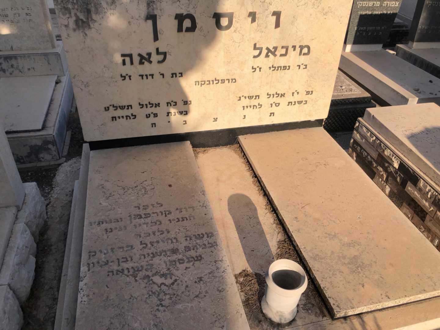 קברו של מיכאל ויסמן. תמונה 1