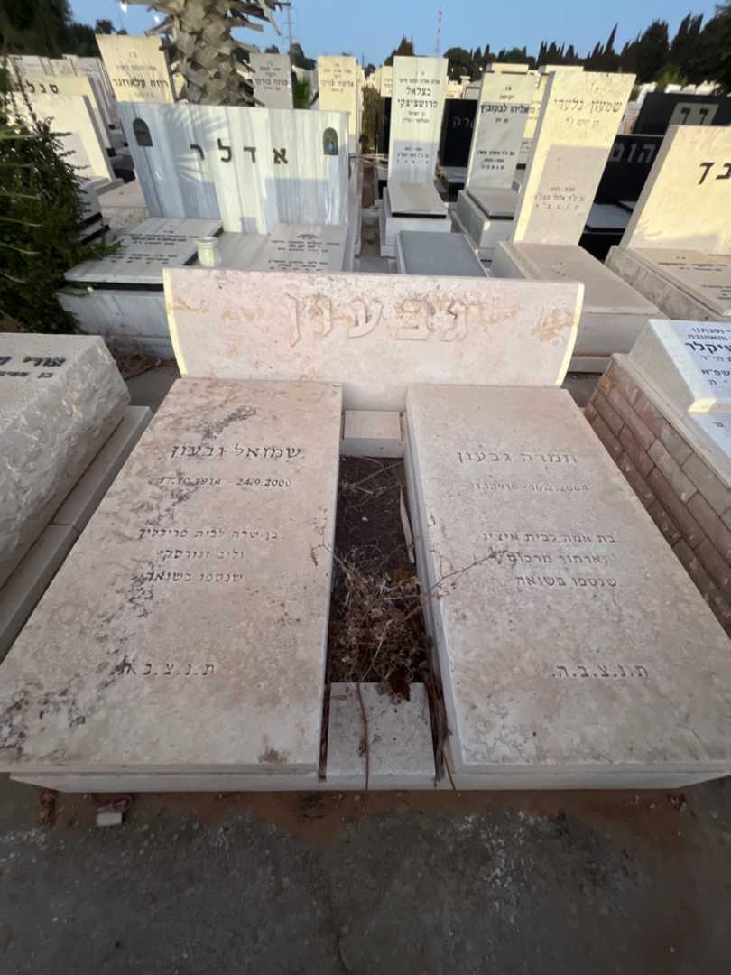 קברו של ליב זגורסקי. תמונה 2